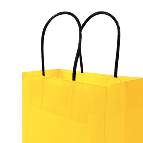 컬러 쇼핑백 - BLACK (2매입)