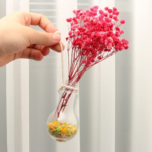 벽걸이 안개꽃 화분