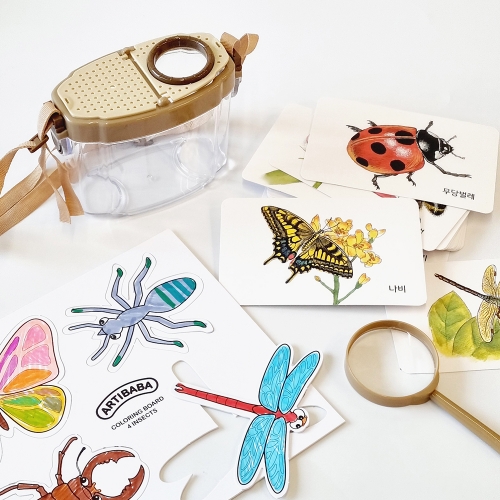 곤충채집세트