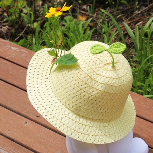 [아트드림] 칼라 밀짚모자