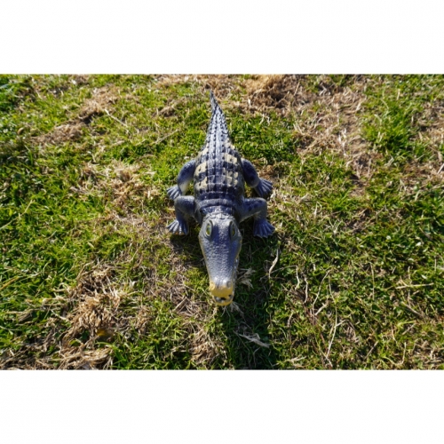 움직이는 악어 장난감 동물 피규어 크로커다일 멜로디 작동완구 어린이 과학교구 생일선물