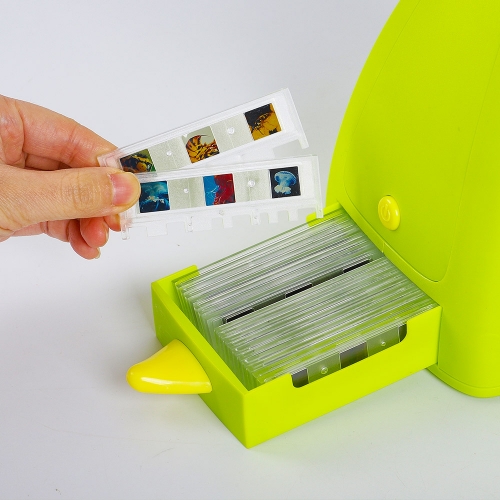 [캐스B]네이처 다이노표본관찰4배현미경(2497)