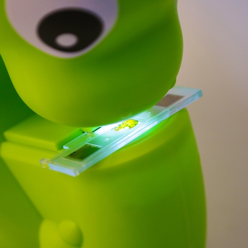 [캐스B]네이처 다이노표본관찰4배현미경(2497)