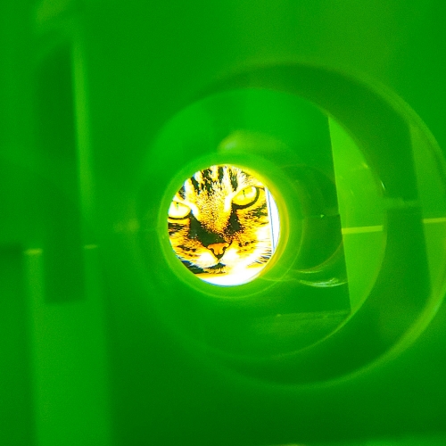 [캐스B]네이처 다이노표본관찰4배현미경(2497)