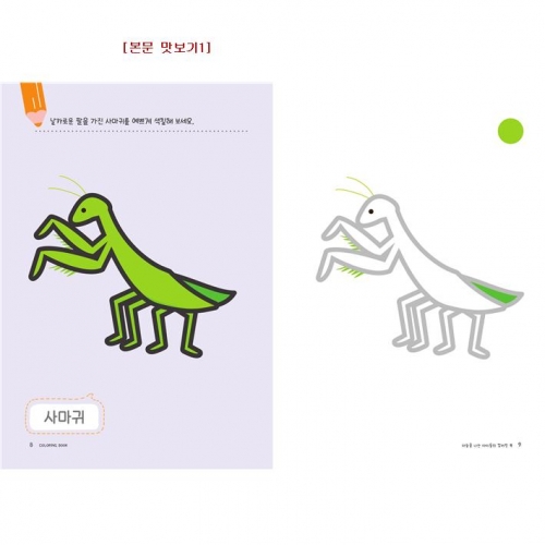 유아 드로잉북 컬러링북 2단계