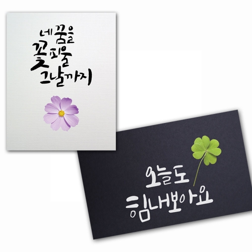 꽃 투명 스티커(3매)