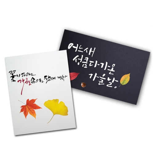 가을꽃낙엽 투명방수스티커(3장 1set)