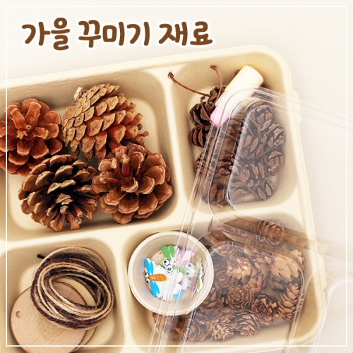 가을 꾸미기 재료(솔방울 외)