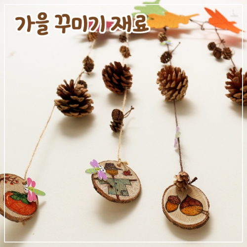 가을 꾸미기 재료(솔방울 외)