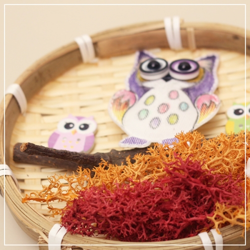 부엉이 원형 채반 액자