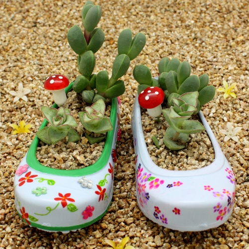 꼬마고무신 다육심기(2개완성)