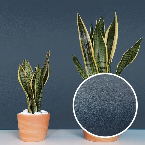 단색 솔리드 벽지 시트지 SD 모음 가구 주방 리폼 포인트시트 50cm