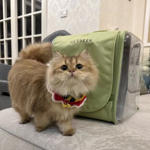 [Maskot Almacen] 반려동물 이동가방 ( TRENDY 투명캡슐v2 백팩 )