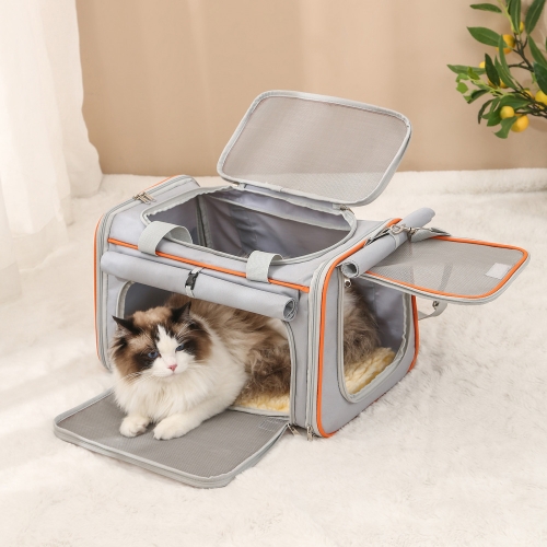 [Maskot Almacen] 반려동물 이동가방 ( TRENDY 스켈레톤 캐리백 )