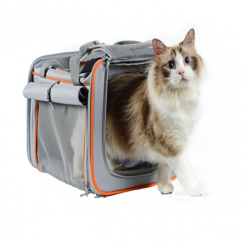 [Maskot Almacen] 반려동물 이동가방 ( TRENDY 스켈레톤 캐리백 )