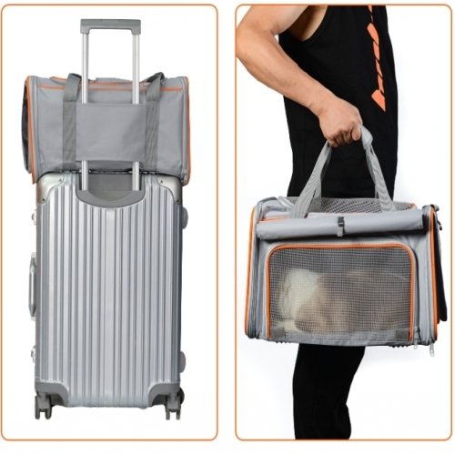 [Maskot Almacen] 반려동물 이동가방 ( TRENDY 스켈레톤 캐리백 )