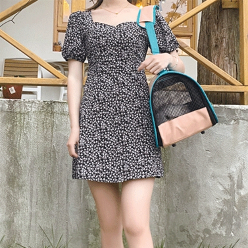 [Maskot Almacen] 반려동물 이동가방 ( TRENDY 토트 캐리백 )