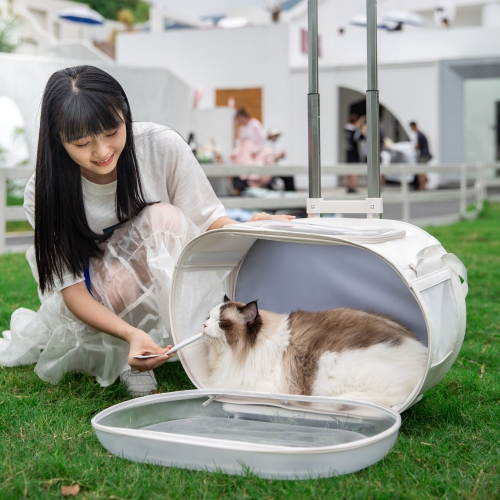 [Maskot Almacen] 반려동물 이동가방 ( TRENDY 무빙트롤리+캐리백 )