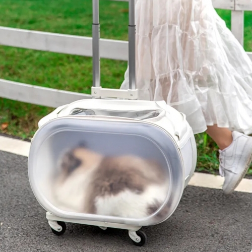 [Maskot Almacen] 반려동물 이동가방 ( TRENDY 무빙트롤리+캐리백 )