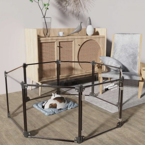 [Maskot Almacen] �ݷ����� ���� ��ũ���潺, ��Ÿ�� 6H