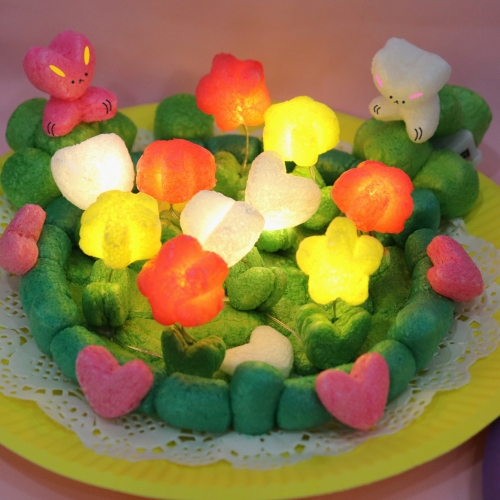 플레이콘 사랑이넘치는 불빛정원5인용(2종-택1)