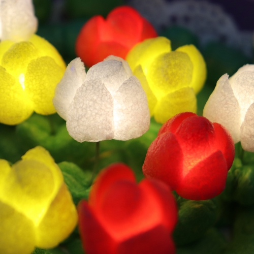 플레이콘 사랑이넘치는 불빛정원5인용(2종-택1)