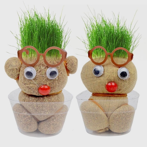 잔디인형키우기(못난이)