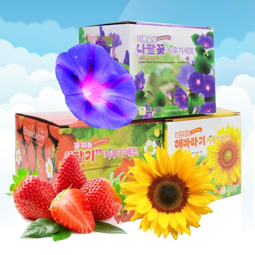 에코가든재배세트(딸기)