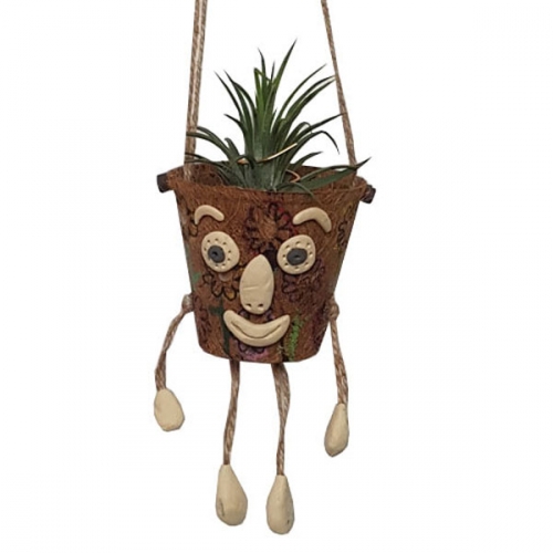 틸란드시아 화분형