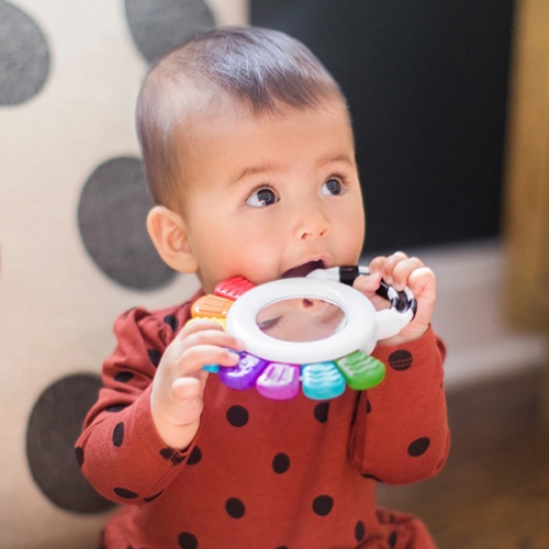 [베이비아인슈타인] 감각발달 문어 치발기 딸랑이