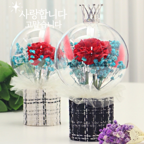 아크릴 볼 카네이션 화분