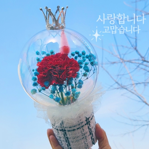 아크릴 볼 카네이션 화분