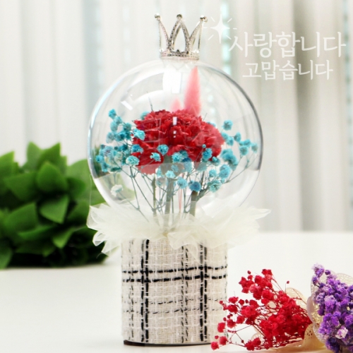 아크릴 볼 카네이션 화분