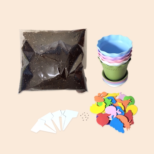 내가 꾸미고 키우는 방울토마토 화분 (5인용)