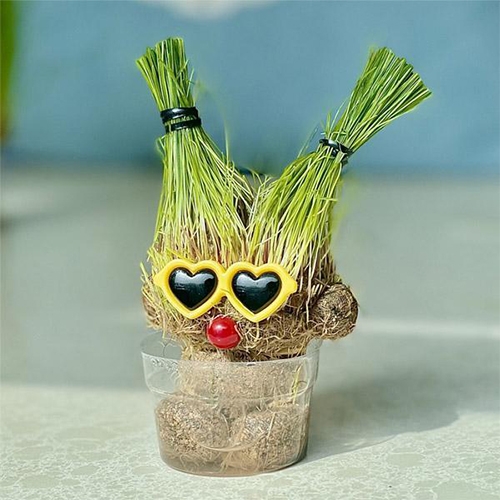 3000 머리가자라나는잔디인형(선글라스)