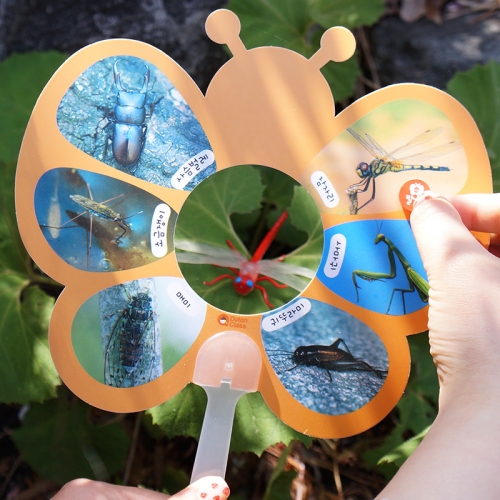 곤충 관찰 부채