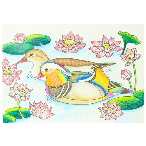 치매예방 시니어 컬러링북