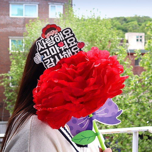 [하하당] 마음 담은 대왕 카네이션