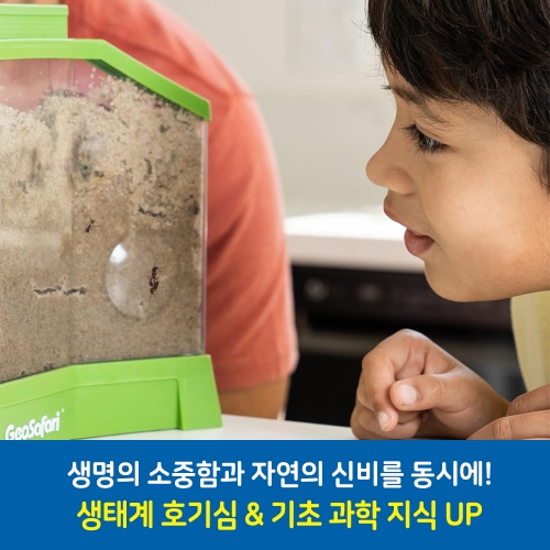 (러닝리소스)EDI5147 지오사파리 개미공장