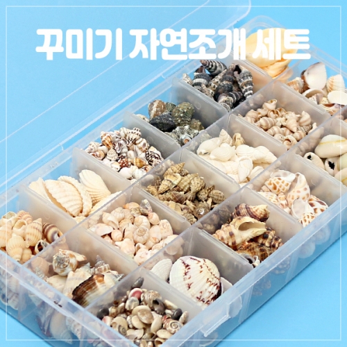 꾸미기 자연 조개세트