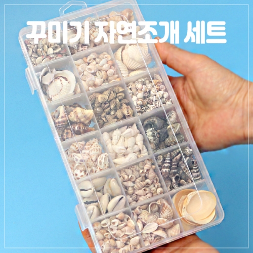 꾸미기 자연 조개세트