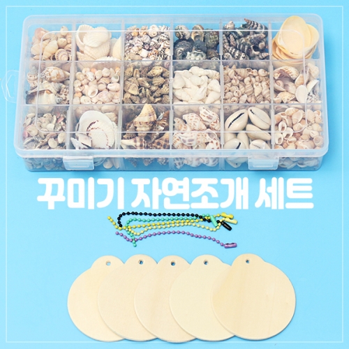 꾸미기 자연 조개세트