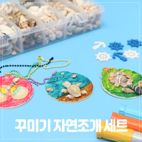 꾸미기 자연 조개세트