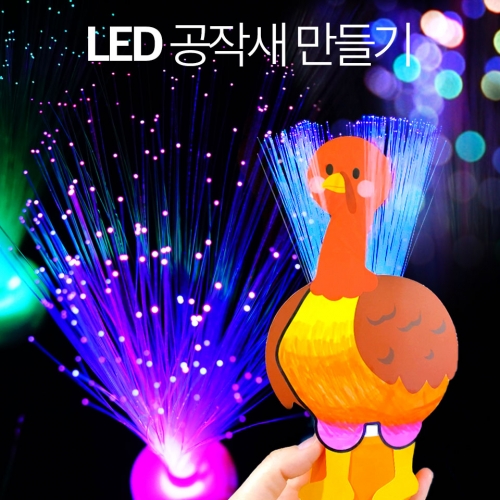    LED ۻ  (LED  )