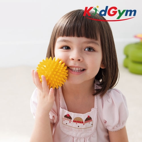 [키드짐] 마사지볼(3종)