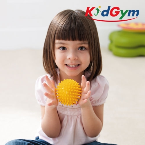 [키드짐] 마사지볼(3종)