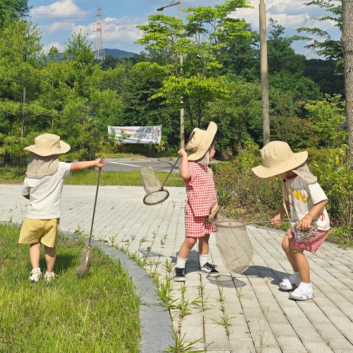 [캐스B]네이처 자연관찰채집채(2553)