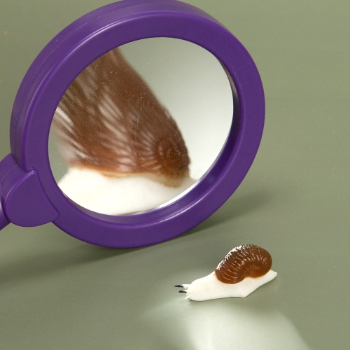 [캐스B]네이처 브레인키즈컬러풀관찰도구6종(2566)