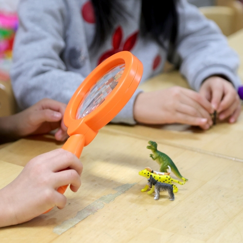 [캐스B]네이처 브레인키즈컬러풀관찰도구6종(2566)