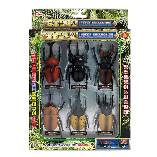 곤충컬렉션